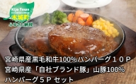 宮崎県産黒毛和牛100%ハンバーグ１０個 宮崎県産「自社ブランド豚」山豚100%ハンバーグ５個　セット＞ K16_0041_1