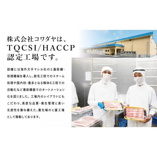 ふるさと納税 鹿児島県 南さつま市 黒豚 ロース 焼肉 ・ 生姜焼き用 750g （150g×5P）豚肉 ロース 焼肉 バーベキュー BBQ 生姜焼き 小分け 冷…