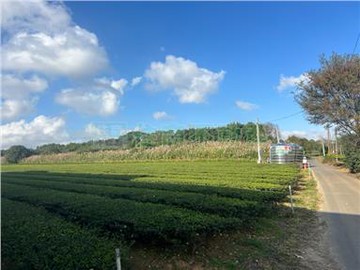 高楊北路漂亮農地｜桃園市龍潭區高楊北路