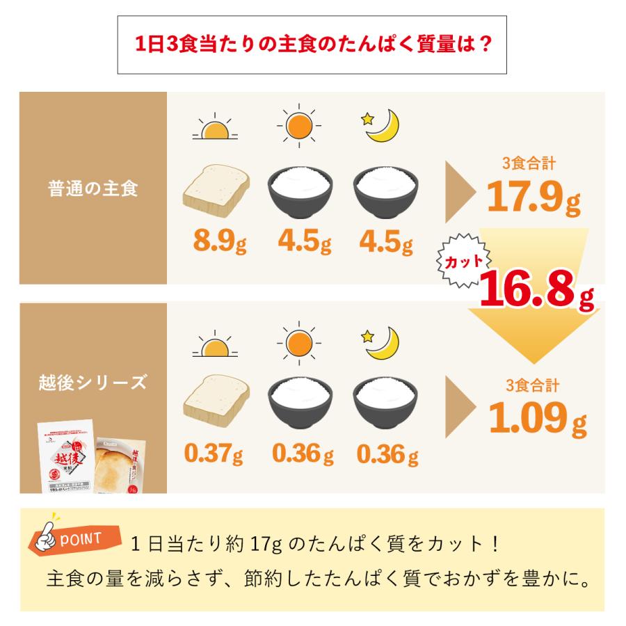 12.5越後米粒タイプ 使い切りパック 130g×4袋 低たんぱく 米 ごはん お試し バイオテックジャパン