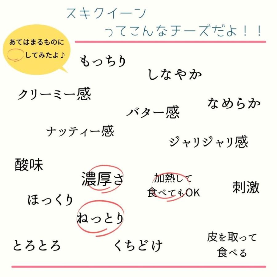 スキクイーン 250g (ポーション) 1個 スキクイーンチーズ ゴート チーズ ノルウェー産 お土産 ノルウェー スキクィーン ゴートチーズ ブラウンチーズ キャラメル