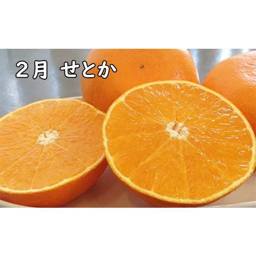 ふるさと納税 大分県 杵築市 野菜ソムリエ石児さんの訳ありフルーツ定期便A（1月・2月・3月・4月） みかん 柑橘類 定期便 訳あり 先行予約 せとか アンコール …