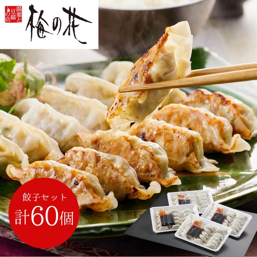 梅の花 餃子セット（計60個） ぎょうざ おかず 点心 中華 冷凍 食品 お取り寄せグルメ ギフト お歳暮 お中元 贈り物