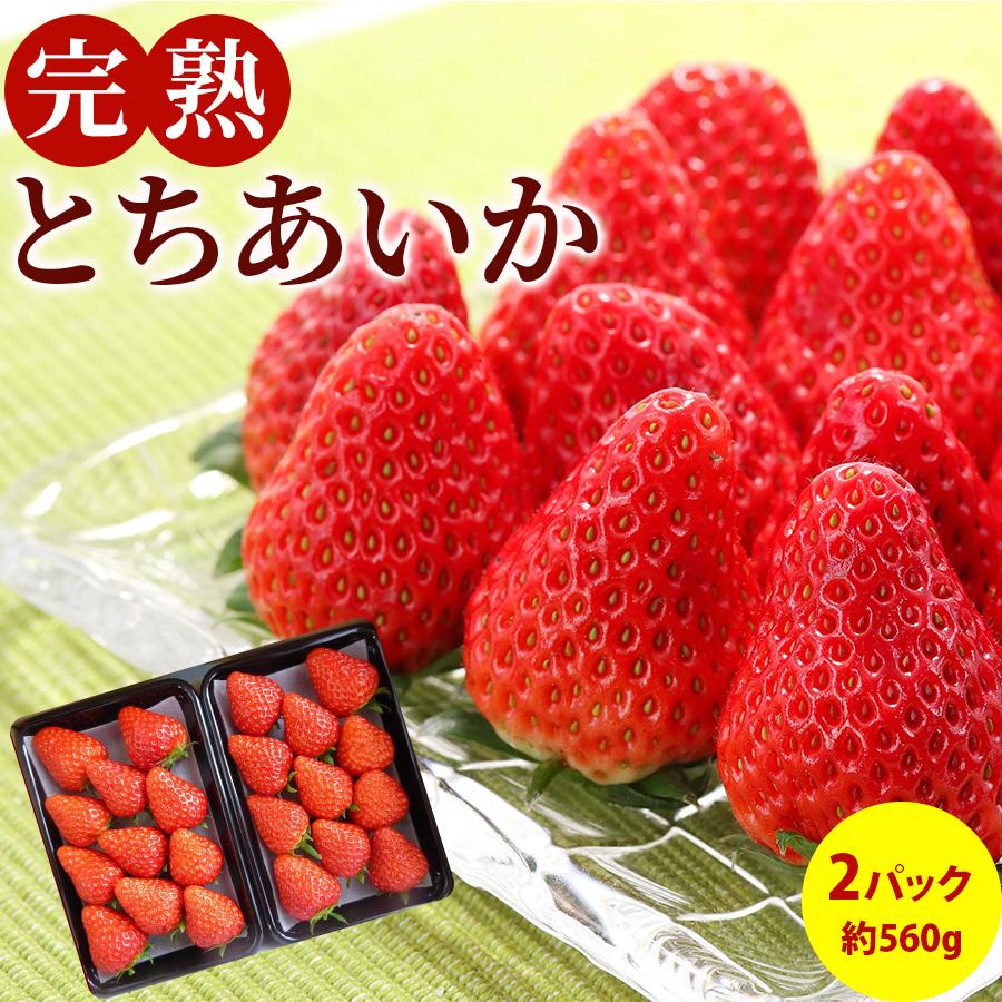 いちご とちあいか フルーツ Fruits 完熟いちご 栃木県真岡産 送料無料 産地直送 2パック入り 1パック約280g×2