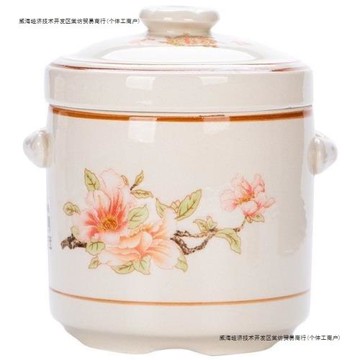 陶瓷雙蓋燉盅隔水燉家用煲湯燉湯盅煲燉罐燕窩燉燕窩瓦罐煨湯一人