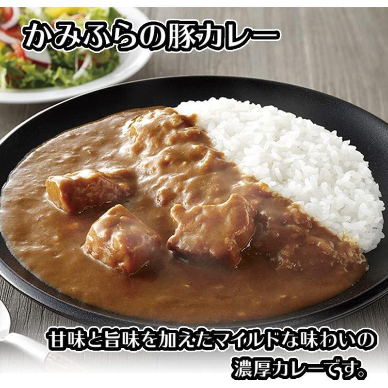 カレー レトルトカレー 北海道 十勝牛 カレー かみふらの 豚 ＆ ななつぼし カレー お米 御礼 御祝 グルメ ギフト 北国からの贈り物