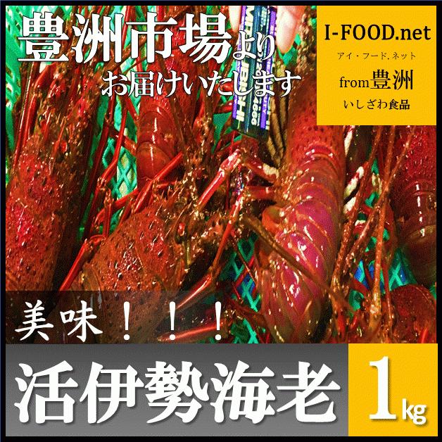 伊勢海老 いせえび エビ えび 海老 豊洲市場よりお届けいたします グルメ 送料無料 ギフト2021