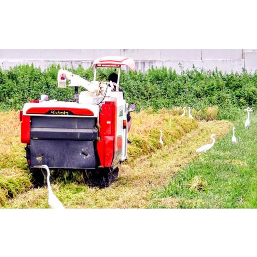 ふるさと納税 福岡県 苅田町 福岡県苅田町白川産 夢つくし 10kg お米 精米