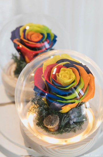 永生玫瑰夜燈/永生花玻璃盅/永生花禮/生日禮物/不凋花盅/永生花