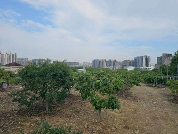都計內農地｜廍子公園旁投資置產首選｜台中市北屯區大觀段