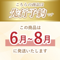 もぎたて発送！山梨県産 ヤングコーン 30本