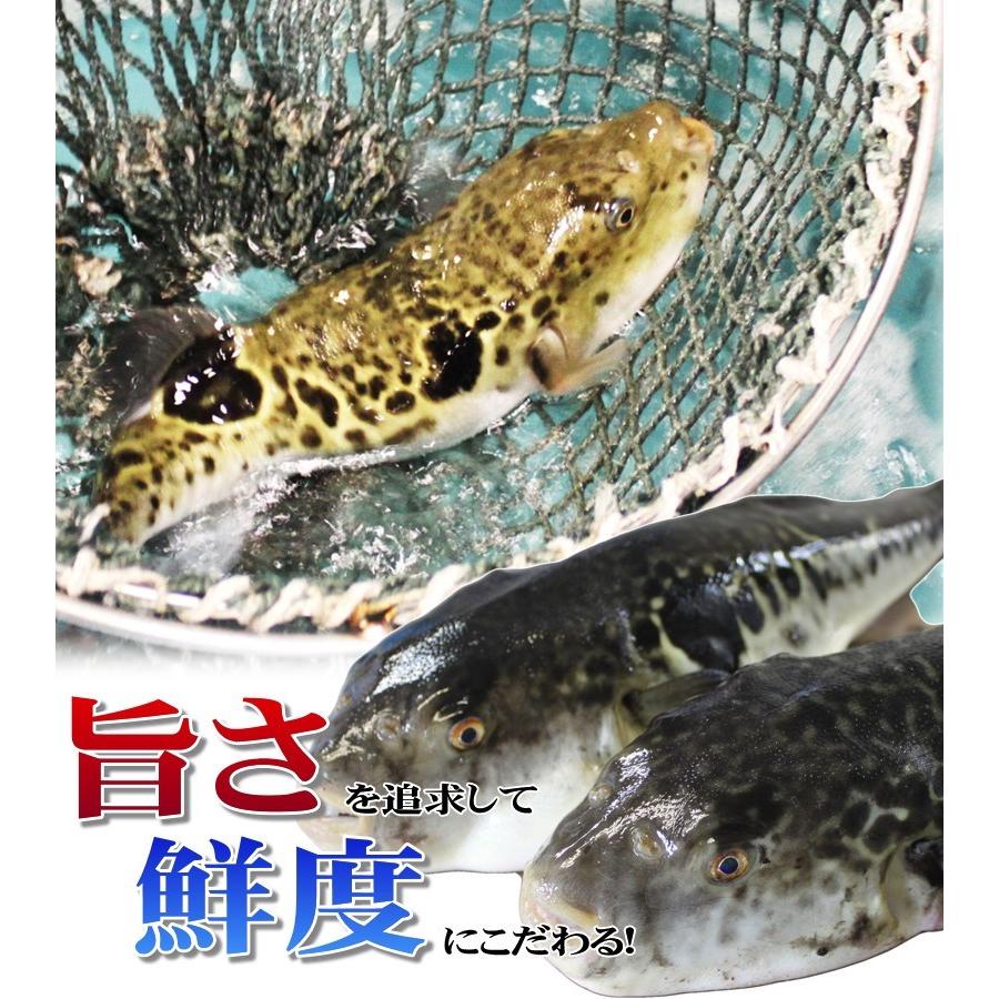 お歳暮 2023 ギフト ふぐ 鍋 冷蔵とらふぐちり鍋セット（3〜4人用） 送料無料 お取り寄せ 山口 海鮮 御祝 グルメ