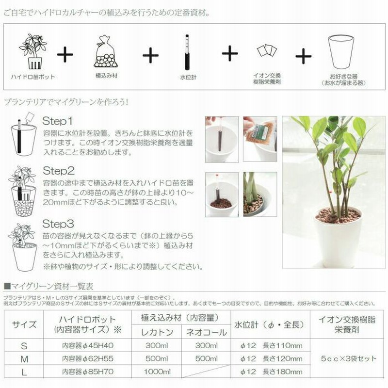 観葉植物 ハイドロカルチャー 苗 ゴムの木 ティネケ プチサイズ 1寸 | LINEブランドカタログ