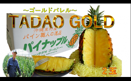 ＴＡＤＡＯ　ＧＯＬＤ2玉（約3.5㎏）