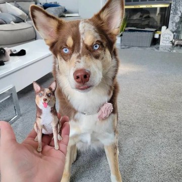 【客製化3D寵物紀念公仔】訂製手作似顏繪肖像狗狗貓咪毛小孩娃娃