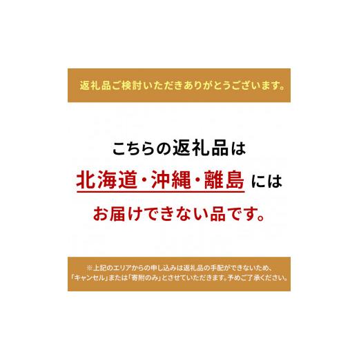 ふるさと納税 岡山県 岡山市 岡山の山珍（さんちん）の 豚まん 10個入 [No.5220-0426]