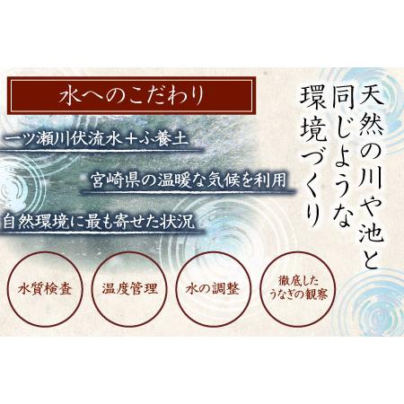 ふるさと納税 新仔?味鰻の手焼備長炭蒲焼 2尾（無頭）化粧箱入 熨斗対応可 宮崎県産うなぎウナギ 蒲焼 長焼 ひつまぶし ギフト プ.. 宮崎県新富町