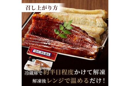 うなぎ／うなぎの食べ比べセット2~3人前全部で1尾　うなぎの蒲焼き・白焼きセット１匹