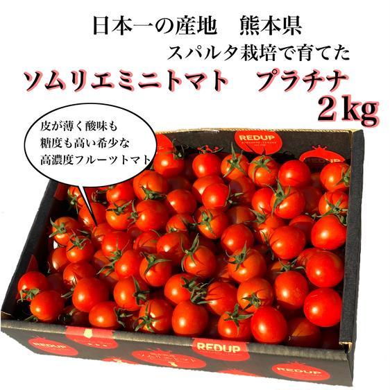 野菜 トマト 送料込(4)ソムリエミニトマト　プラチナ箱込み2kg 産地直送