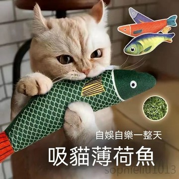 貓薄荷玩具 大號仿真魚貓玩具 貓咪自嗨解悶玩具 逗貓磨牙耐咬玩具 耐用貓咪玩具 逗貓玩具 貓玩具魚 貓草玩具