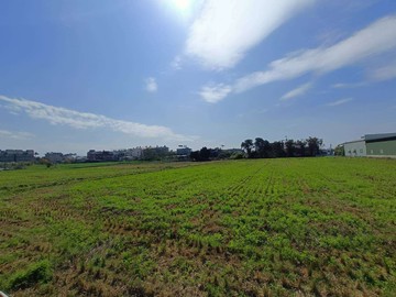【很慧賣】麻園大面寬方正美田+全新資材室!!｜新竹縣竹北市麻園段