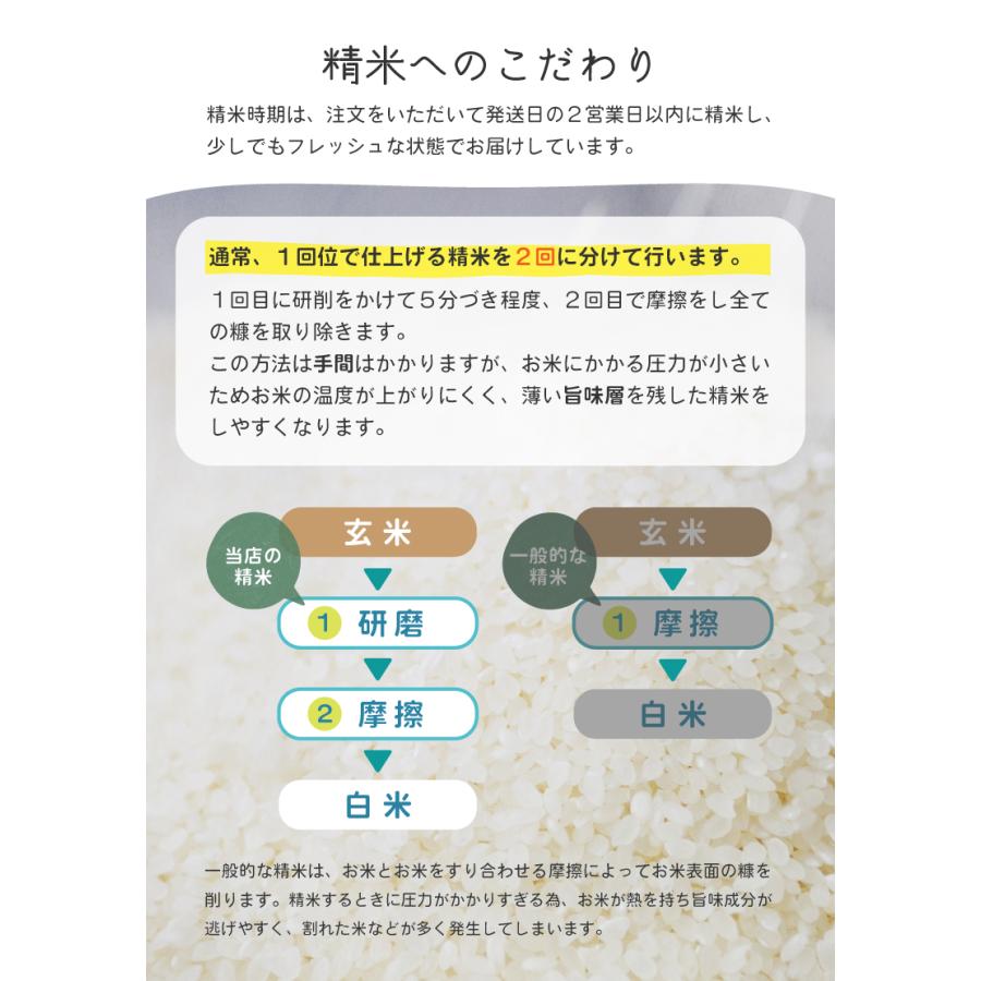 生活応援米 20kg《令和5年新米入り》コスパ米 お得 安い 白米