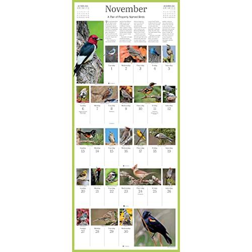 2022 Audubon Songbirds and Other Backyard Birds