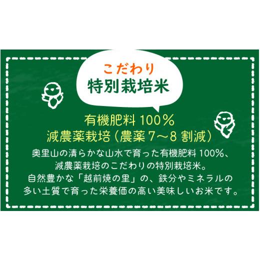 ふるさと納税 福井県 越前町 [e10-o001] 米 定期便 ≪12ヶ月連続お届け≫ 特別栽培米 コシヒカリ 10kg × 12回 福井県産米（有機肥料100% 農薬7割減）【令和5…