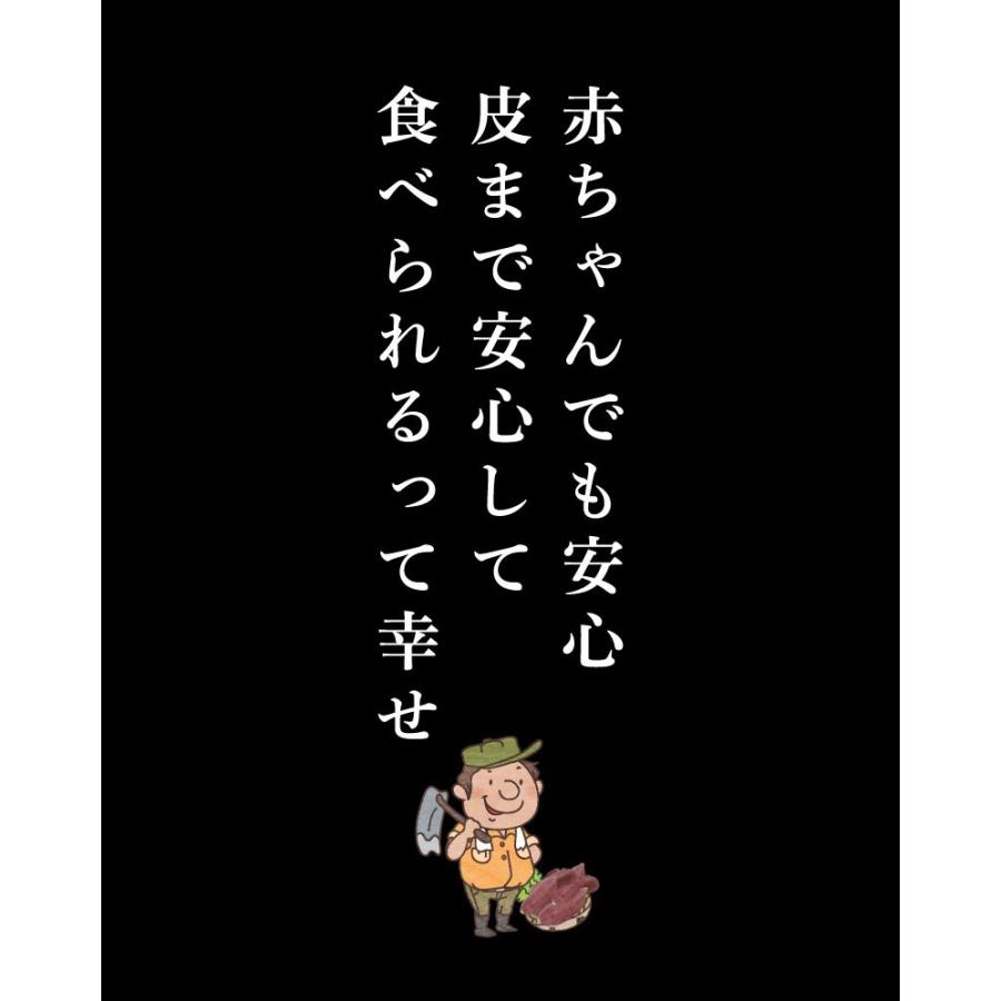 ポイント5倍 御歳暮 お歳暮  ギフト 有機 安納芋 安納いも あんのう芋 蜜芋 離乳食 五島列島 オーガニック Mサイズ A品 3kg グルメ Y常