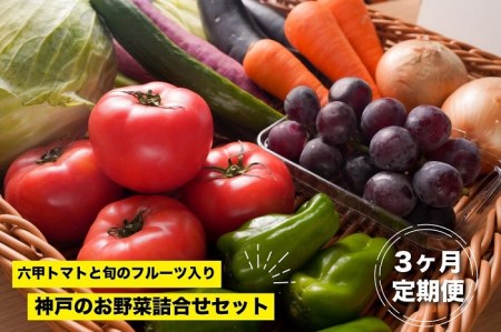 神戸のお野菜詰め合わせセット（六甲トマトと季節のフルーツ入）3ヶ月定期便