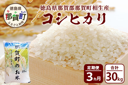 定期便3回 那賀町のお米 コシヒカリ 定期便  YS-15