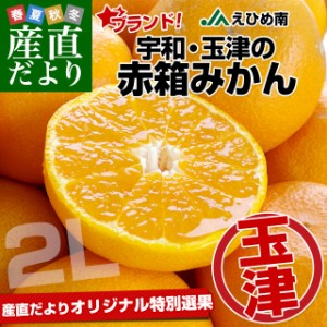 愛媛県より産地直送 JAえひめ南 玉津共選場 玉津の赤箱みかん 大玉 2Lサイズ 5キロ 送料無料  蜜柑 みかん