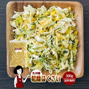 乾燥はくさい 300g〔チャック付〕／九州産 乾燥野菜 白菜 メール便 送料無料 チャック付 九州産 国産 ボイル済み ドライベジ アウトドア