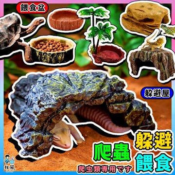 放風爬蟲大王🦎【躲避洞餵食盤大全】烏龜飼養盒 飼養箱 爬蟲屋 洞穴 守宮屋 躲藏 躲避屋 爬蟲 蜥蜴 蠍子 陸龜 爬蟲