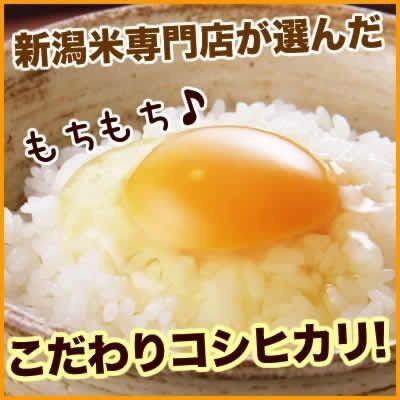 風呂敷包みギフト 5kg 南魚沼産コシヒカリ お米 令和5年産 新潟産 送料無料 （北海道、九州、沖縄除く）