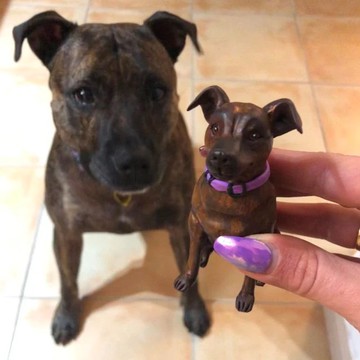 【客製化3D寵物紀念公仔】訂製手作似顏繪肖像狗狗貓咪毛小孩娃娃