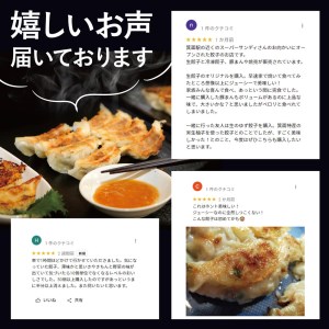 餃子の惑星のピリ辛れんこん餃子(合計72個)