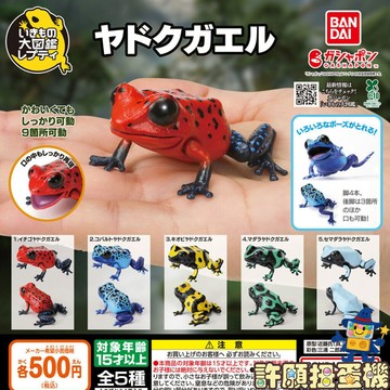 『現貨』 生物大圖鑑-箭毒蛙篇 全5種 扭蛋 轉蛋 BANDAI 【許願扭蛋機】