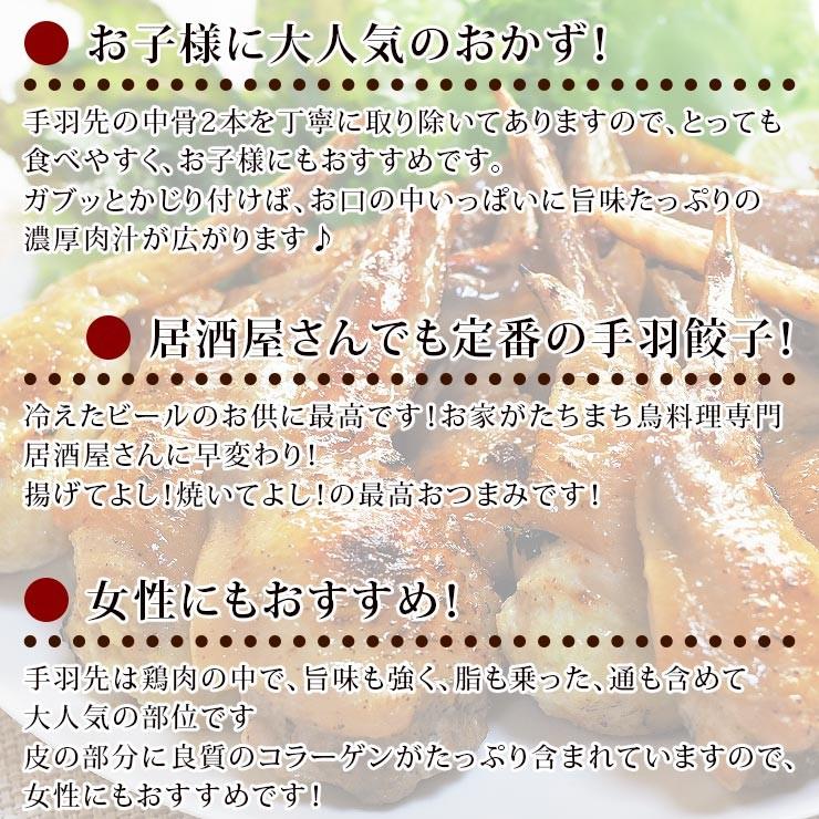  手羽餃子 お試し 40本セット（5本入×8袋）手羽先餃子 肉餃子 バーベキュー BBQ 焼き鳥 焼鳥 焼肉 父の日 プレゼント 惣菜 冷凍