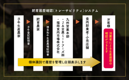 博多和牛サーロインステーキ　250ｇ×1枚 3C10