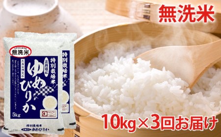 無洗米 北海道赤平産 ゆめぴりか 10kg (5kg×2袋) 特別栽培米  米 北海道 定期便