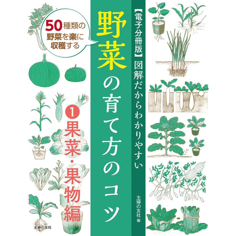 図解だからわかりやすい 野菜の育て方のコツ(1)果菜・果物編 電子書籍版   新井 敏夫