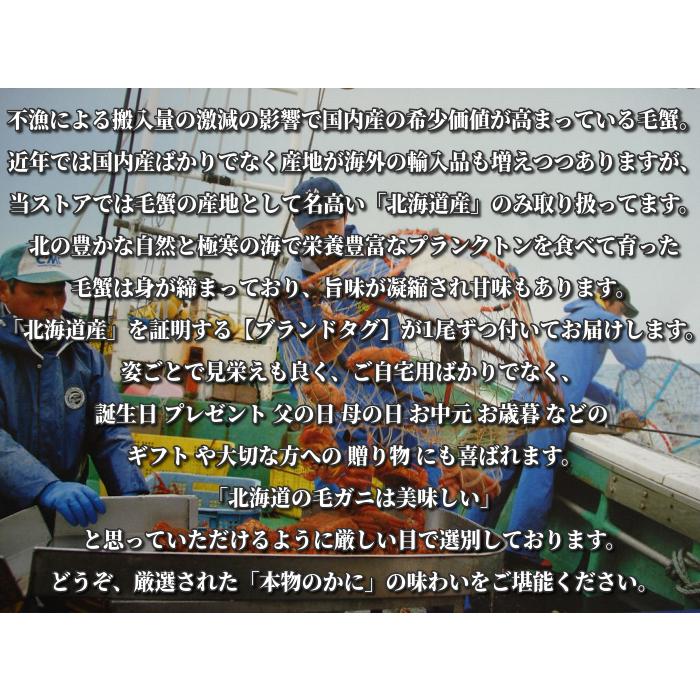 毛ガニ 特大 北海道 毛蟹 蟹味噌 お取り寄せ グルメ ギフト 1.6kg (800g×2尾) セット ボイル 冷凍