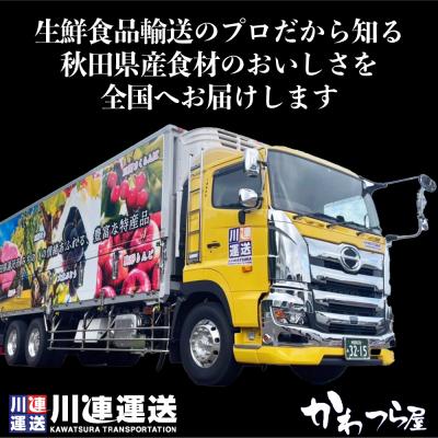 ふるさと納税 湯沢市 オリジナルレトルト詰合せ25食セット[C3-3701]