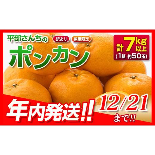 ふるさと納税 宮崎県 日南市 訳あり≪数量限定≫平部さんちのポンカン(計7kg以上) フルーツ 果物 柑橘 みかん 国産_BA60-23