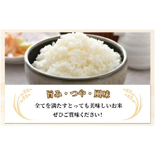 ふるさと納税 福井県 あわら市 《定期便6回》いっちょらい 無洗米 5kg（計30kg） ／ 福井県産 ブランド米 コシヒカリ ご飯 白米 新鮮 大賞 受賞 …