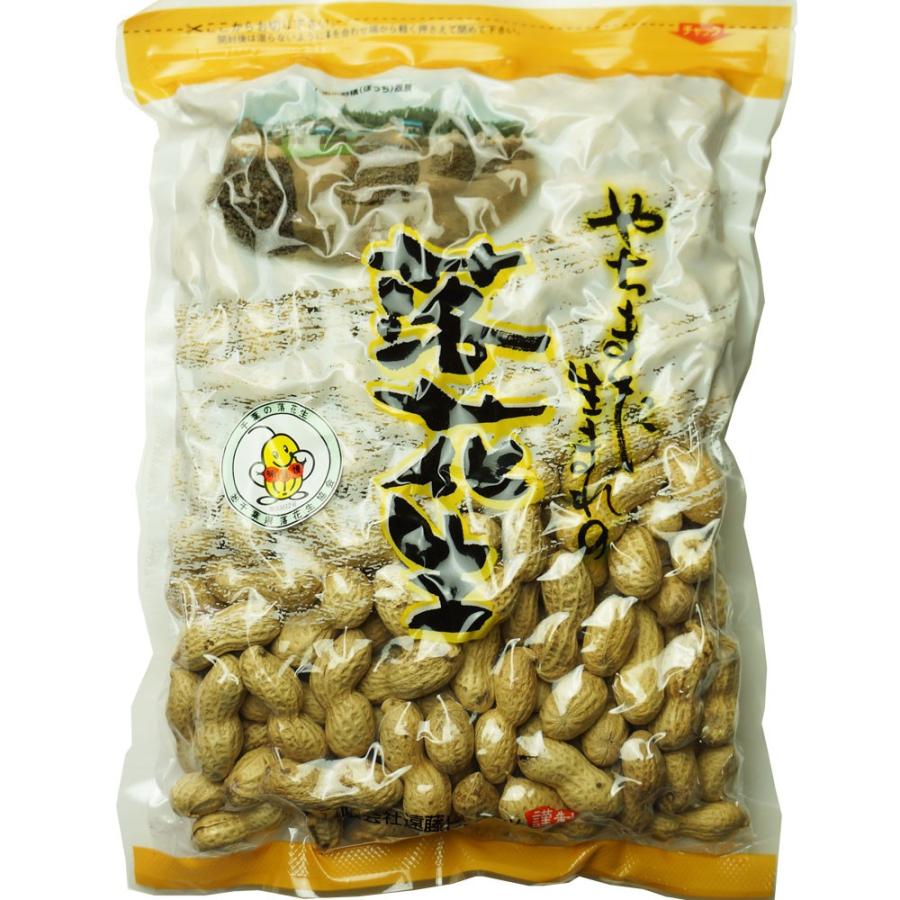 2023年度産 新豆 煎ざや(ナカテユタカ)500g 千葉県八街産落花生