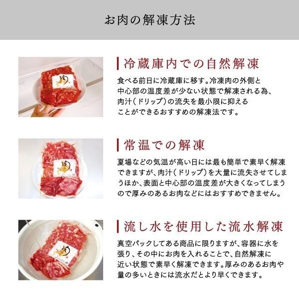 送料無料 焼肉 バーベキュー男だらけの焼肉セット