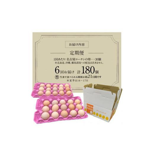 ふるさと納税 愛知県 小牧市 名古屋コーチン卵(30個入り)×6回（計180個）