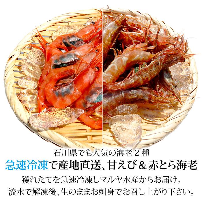 海老 食べ比べ 石川県産 お刺身用 子持ち甘えび 250g 赤がすえび 250g 合計500g 詰合せ 贈答 ギフト 産地直送 お取り寄せ 送料無料